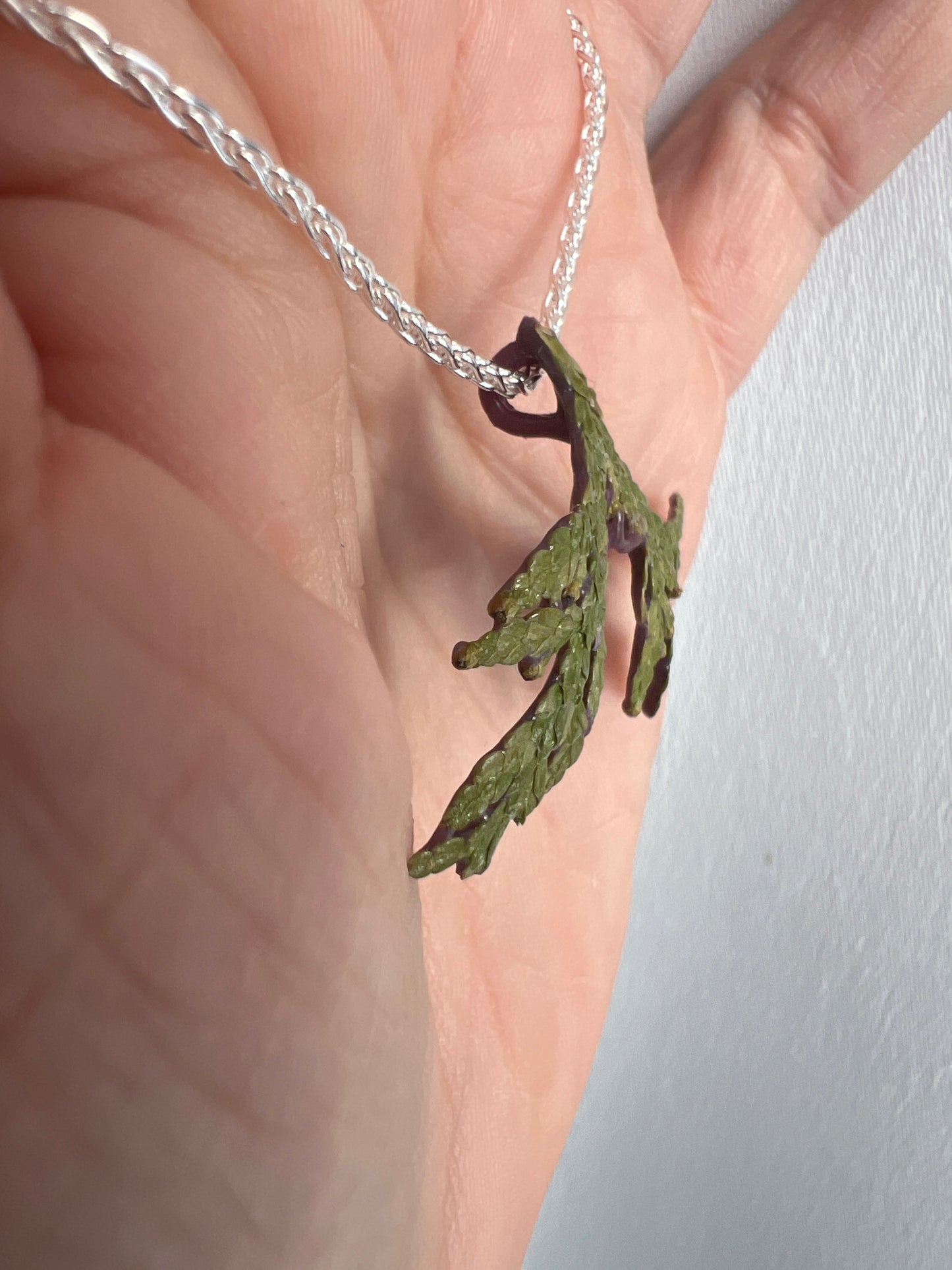 Cedar Bough Necklace with Onyx