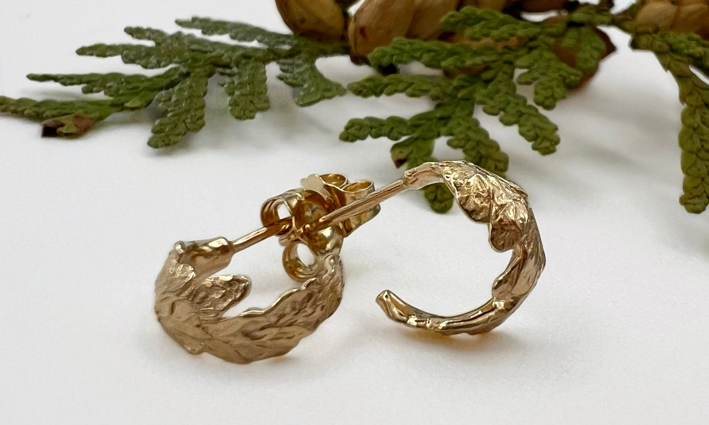 Cedar Curl Hoop Earrings