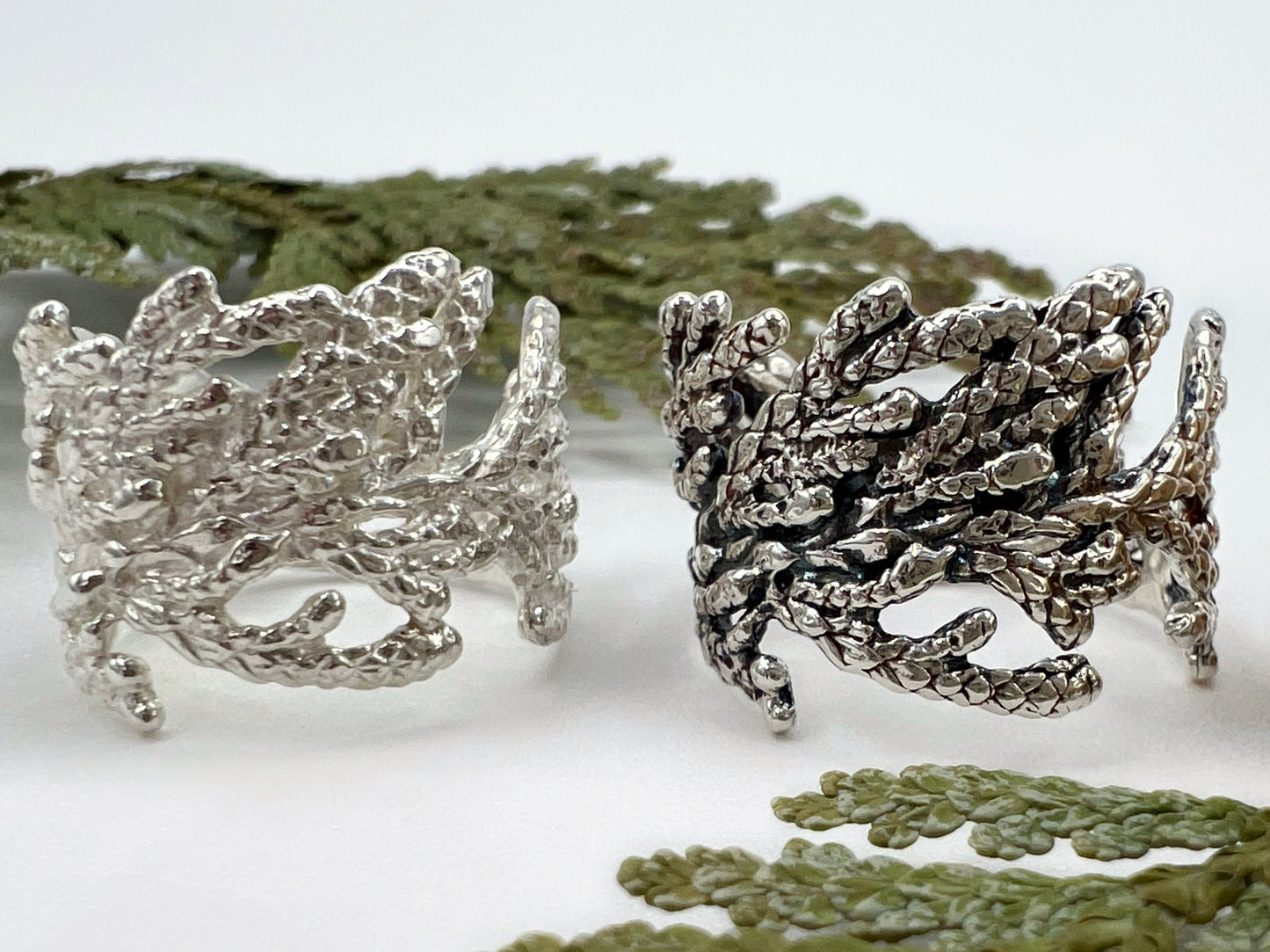 Two silver rings (one oxidized, the other polished) sit side by side on a white background with sprigs of cedar surrounding it. The ring is wide & made from pieces of juniper branches.
