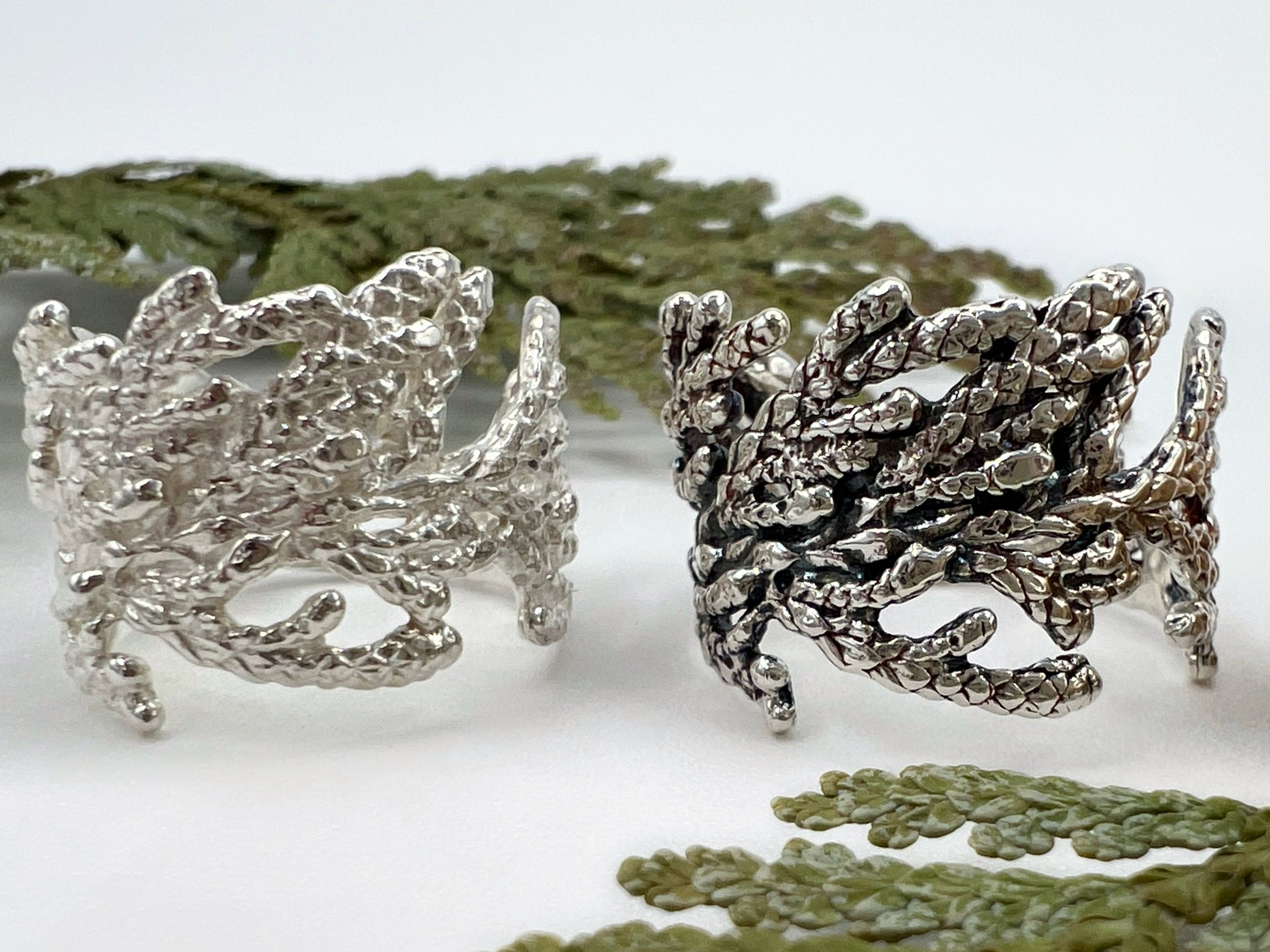 Two silver rings (one oxidized, the other polished) sit side by side on a white background with sprigs of cedar surrounding it. The ring is wide & made from pieces of juniper branches.