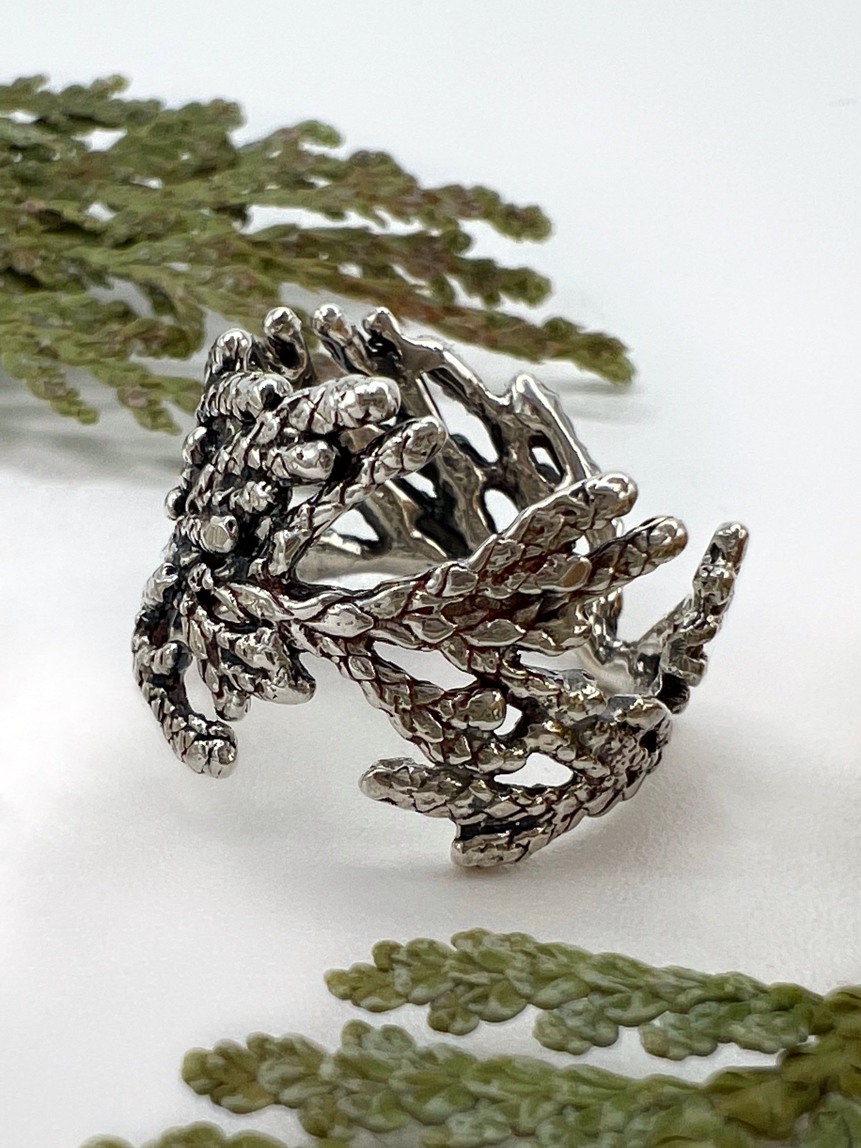 Oxidized silver ring on a white background with sprigs of cedar surrounding it. The ring is wide & made from pieces of juniper branches.