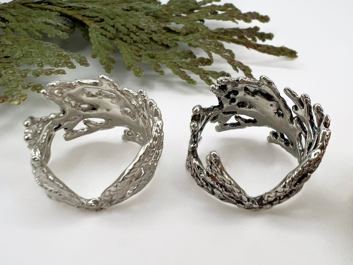 Two silver rings (one oxidized, the other polished) sit side by side on a white background with sprigs of cedar surrounding it. The rings are wide & made from pieces of juniper branches, they are shown from the back view.