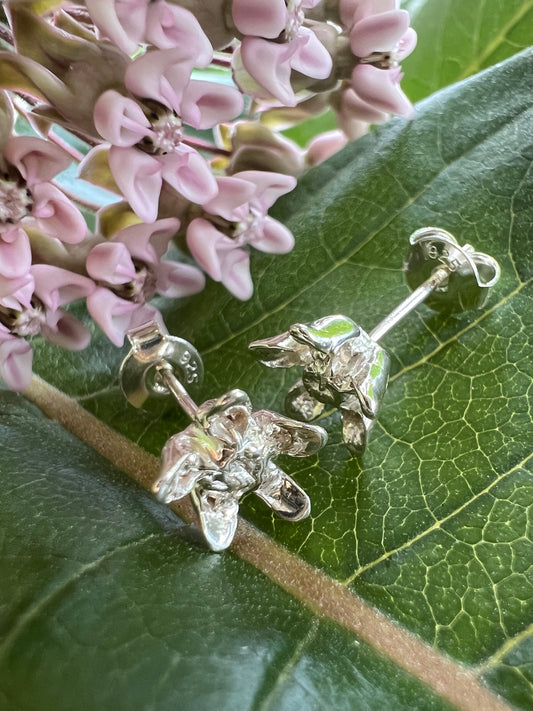 Milkweed Flower Stud Earrings