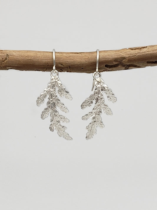 Sterling silver cedar dangle earrings hanging from a worm-eaten stick.