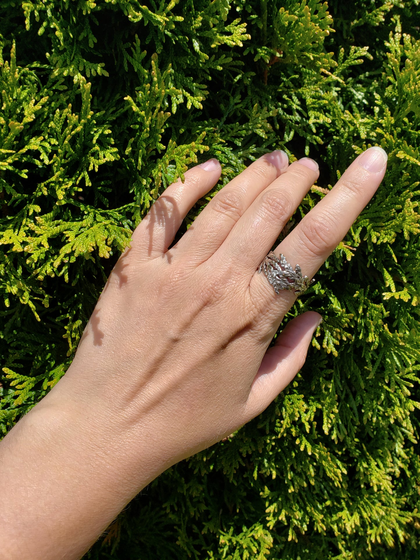 Hand wearing wide oxidized sterling silver cedar ring in front of cedar hedge.