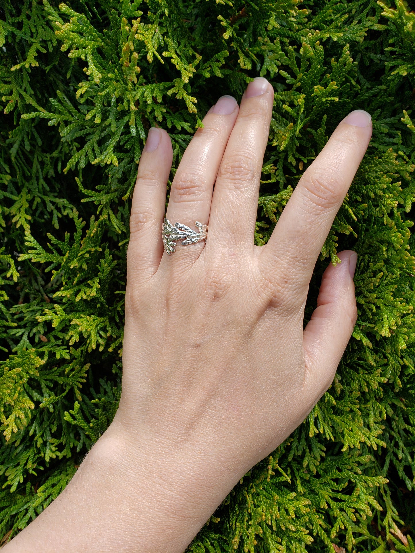 Hand wearing wide sterling silver cedar ring in front of cedar hedge.
