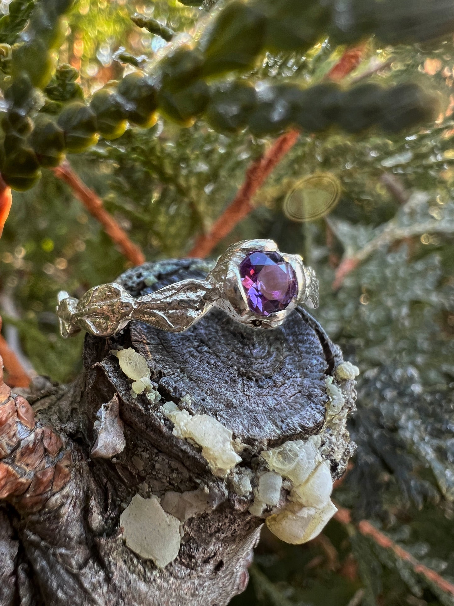 Cedar Conifer Ring in Amethyst