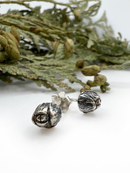 Cedar Cone Stud Earrings
