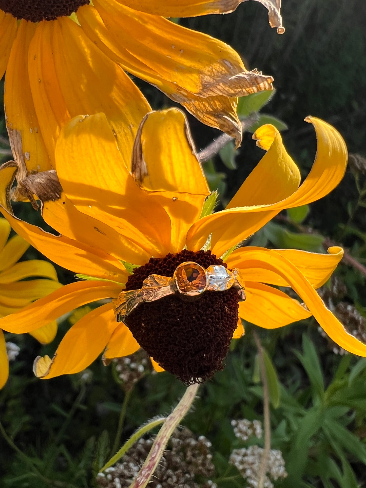 Gemstone Ring with Cedar Band