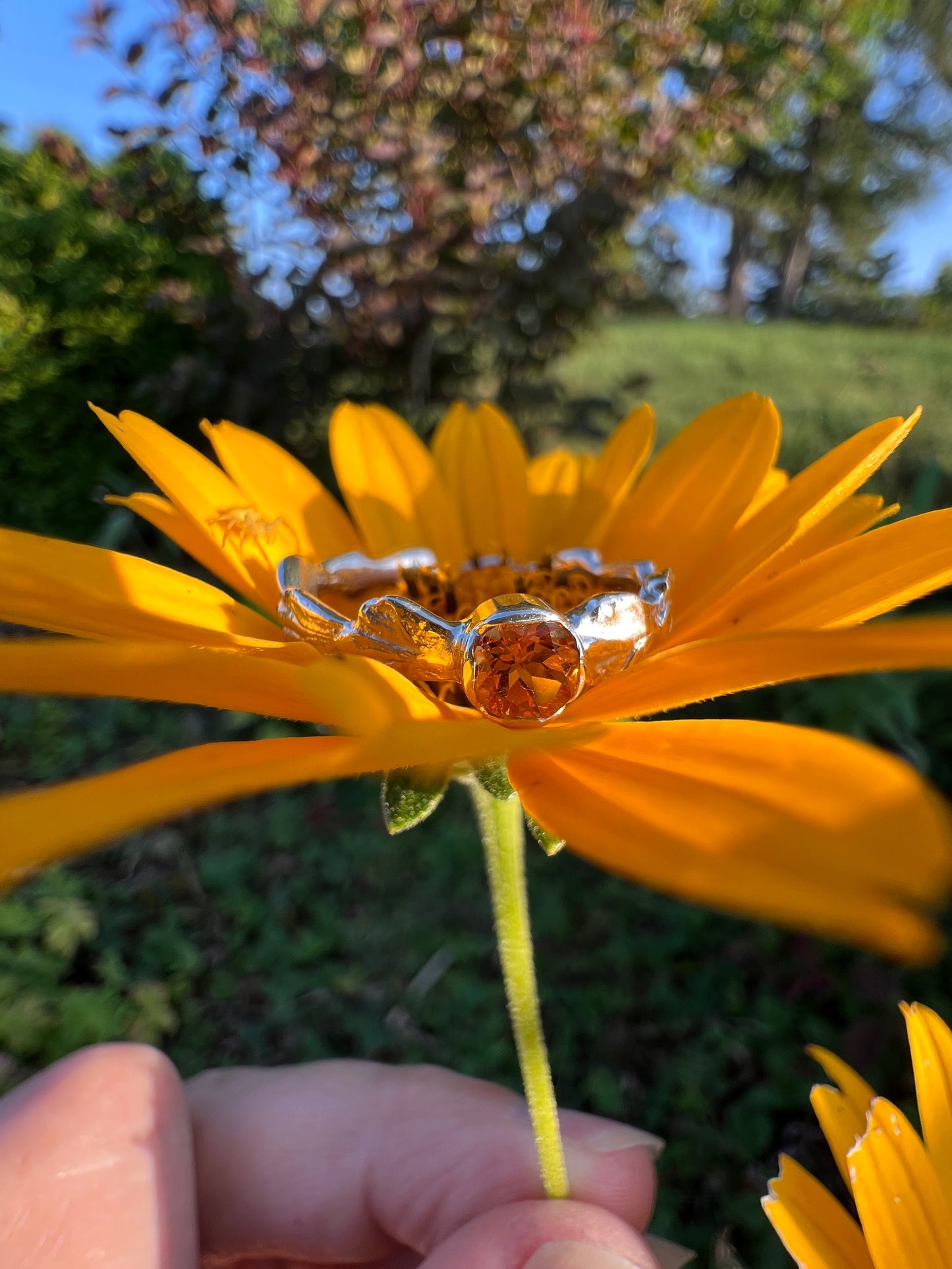 Gemstone Ring with Cedar Band