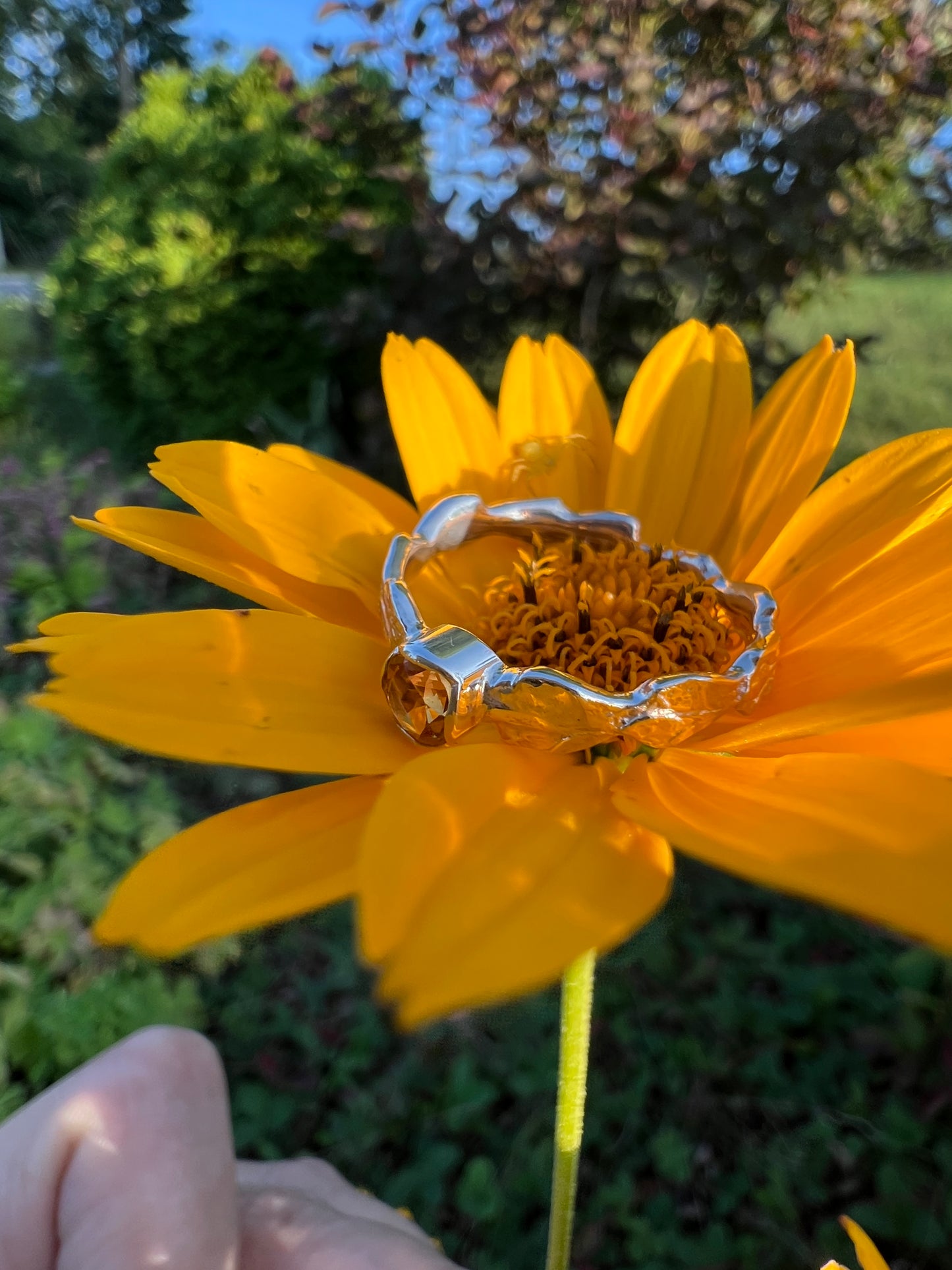 Gemstone Ring with Cedar Band