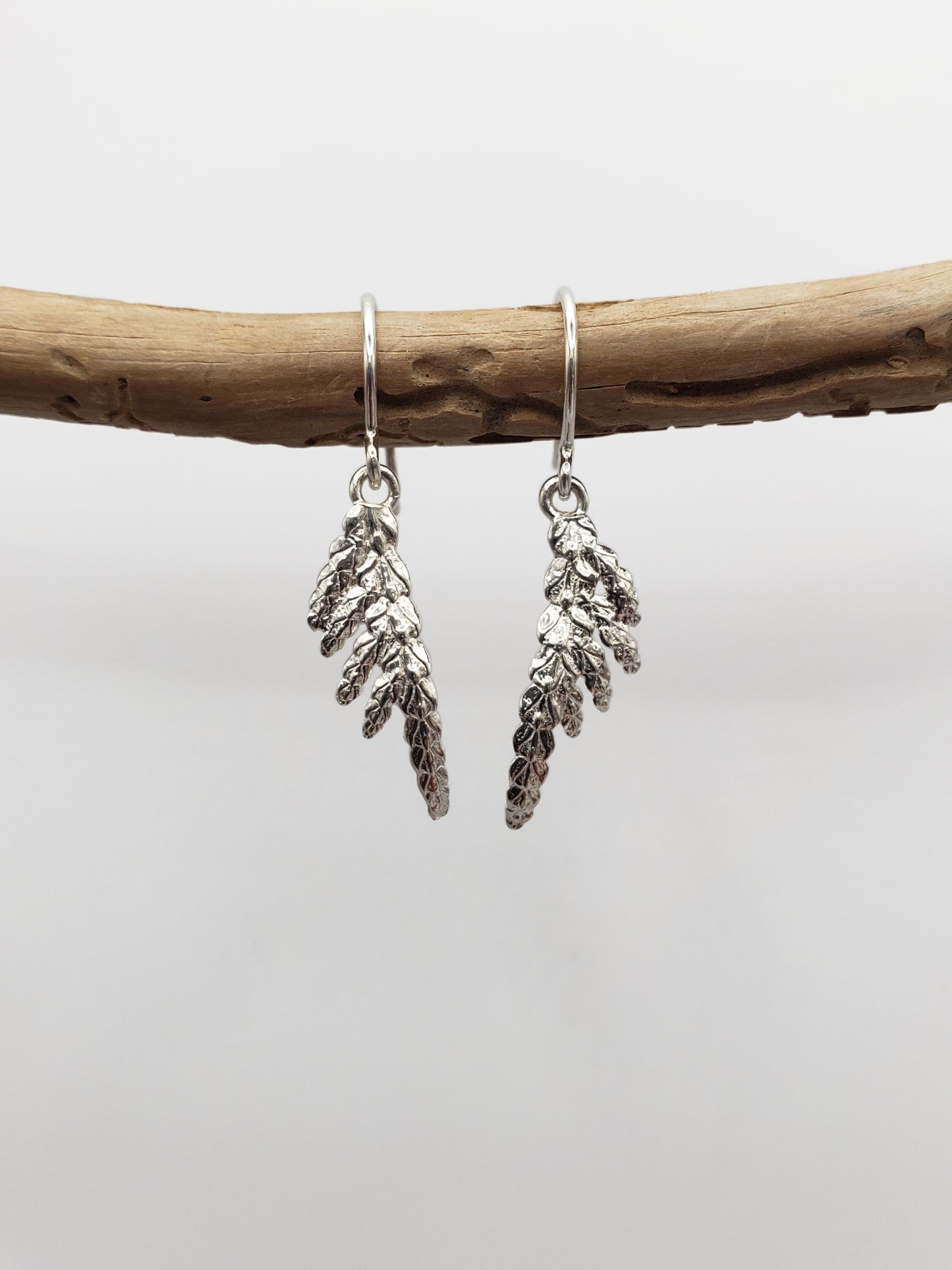 Sterling silver cedar dangle earrings hanging from a worm-eaten stick.