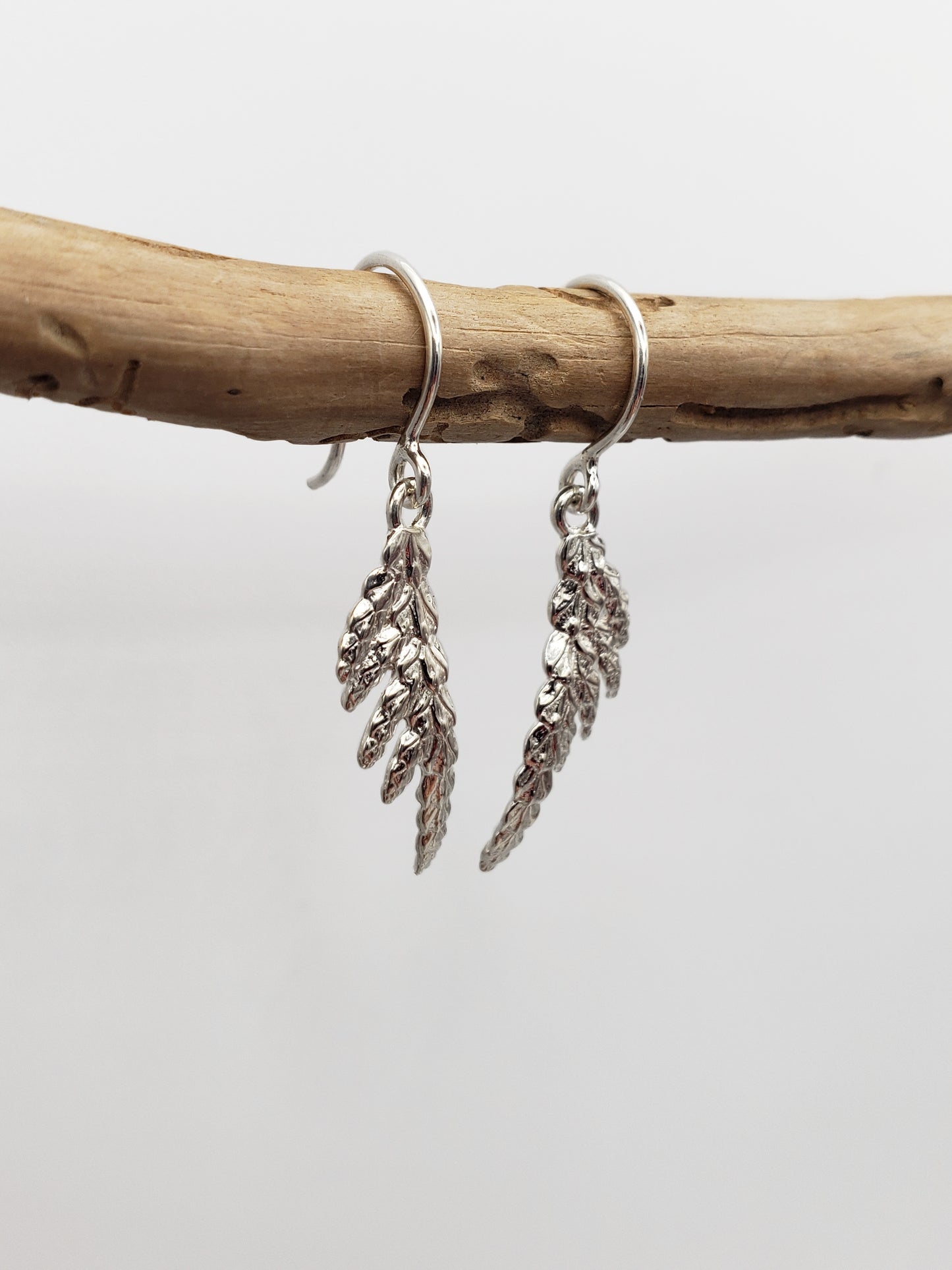 Sterling silver cedar dangle earrings hanging from a worm-eaten stick. Shown at a slight angle.