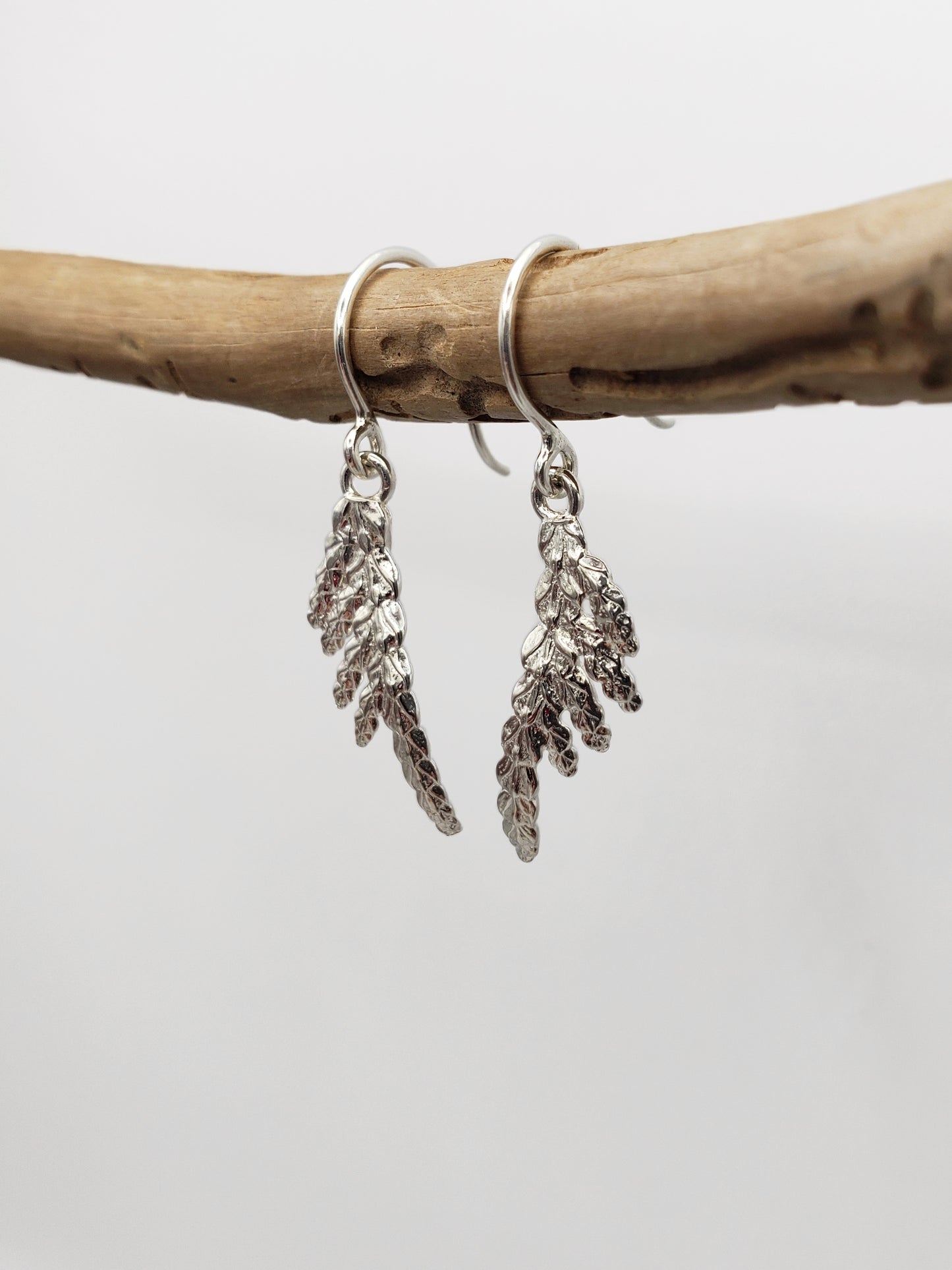 Sterling silver cedar dangle earrings hanging from a worm-eaten stick. Shown at a slight angle.