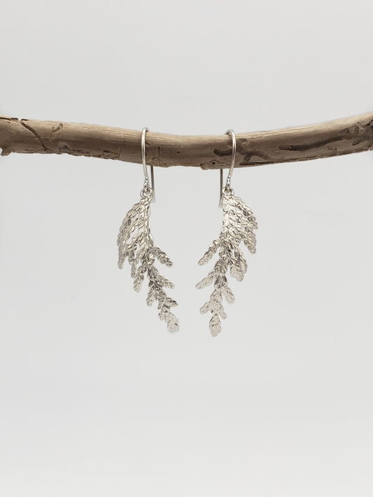  Sterling silver cedar dangle earrings hanging from a worm-eaten stick.